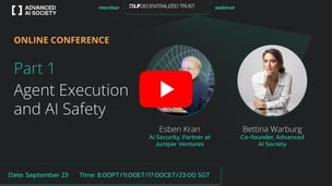 1.6 Agent Execution and AI Safety